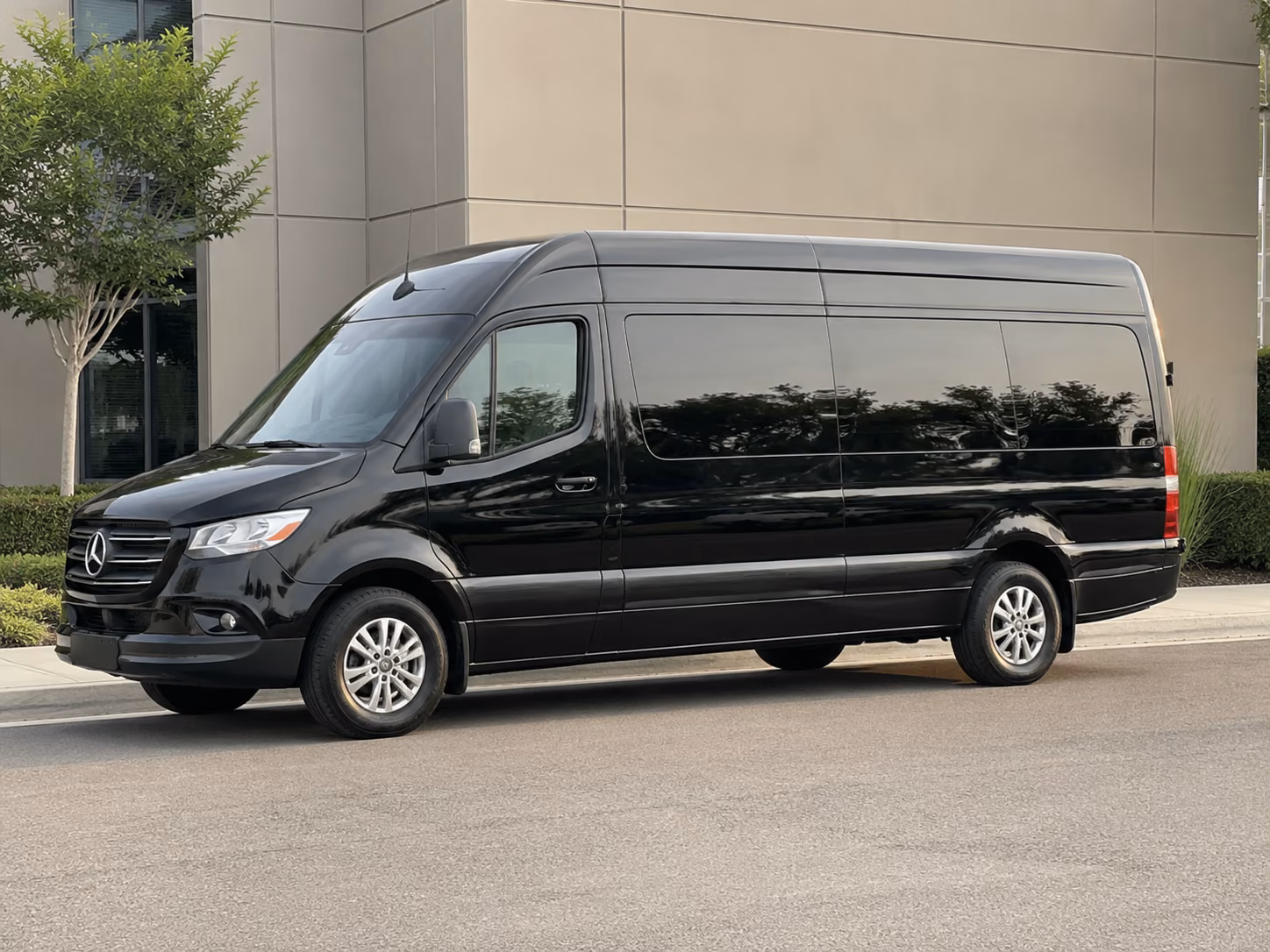 sprinter van options for sandy springs trips